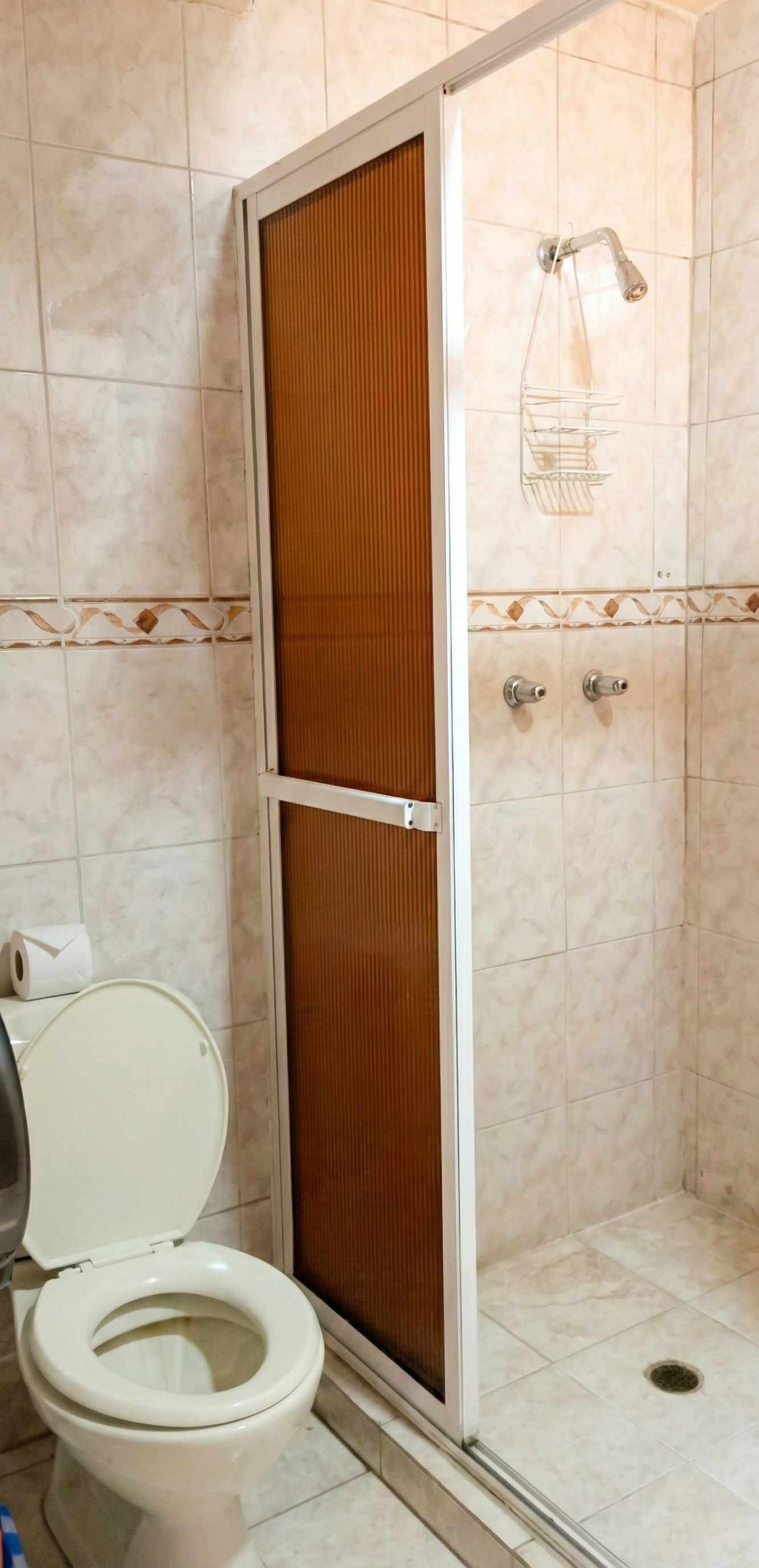 Ducha